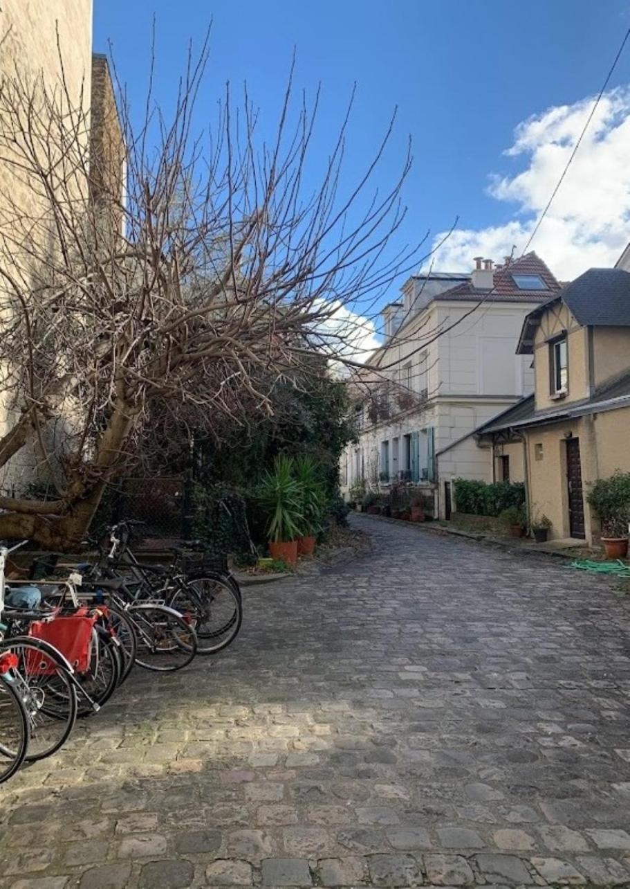 Appartement 2 Et Terrasse A Paris!